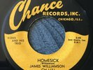 Rare Chicago Blues 45 Homesick James Williamson on Chance Orig. 1953 Press VG+