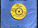 The Young Blood - Green Light / Don't Leave Me In the Dark 7'' Vinyl PROMO PYE
