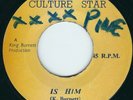 King Burnett - Is Him / Version - Culture Star / Black Ark 7” 45T Rare 1975 ?