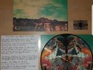 Noel Gallagher's High Flying Birds, Who Built The Moon? Pic. disc vinyl LP RARE