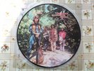 Creedence Clearwater Revival - Green River / Picture LP / Rarität   / Re / tipp