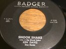 KILLER RARE ROCKABILLY 45 - KEN DAVIS SHOOK SHAKE on BADGER  RACINE WISCONSIN