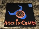 Alice In Chains Them Bones 12