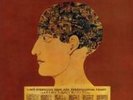 MURRAY HEAD: NIGEL LIVED (LP vinyl *BRAND NEW*.)
