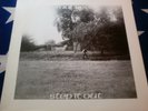 MACREEL - STEP IT OUT -  DUTCH PRIVATE FOLK/PSYCH. LP - NEAR MINT