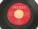 FANTASTIC DEE JAYS Apache/This Love Of Ours 45 VG++ Primitive Garage Surf HEAR