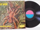 THE WEB. THERAPHOSA BLONDI. FACTORY SAMPLE.TEST PRESSING.UK VINYL LP.DERAM.1969