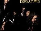 The Black Crowes ?– Shake Your Money Maker - LP Vinyl 1990 Def American