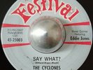 DOO WOP R&B ROCKER THE CYCLONES Say what? / Give me love FESTIVAL LISTEN