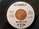 Northern Soul - Dee Dee Sharp What Kind Of Lady - Gamble White Demo ORIGINAL 45