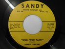 DARRYL VINCENT Wild, Wild Party SANDY Rockabilly/Rock n'Roll 45 NMint