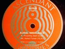 RARE • Aural Imbalance • Ascendant Grooves Vinyl Good Looking LTJ Bukem D&B DNB