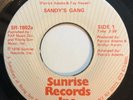 Sandy's Gang 