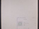 HOUSE BROTHERS: Say What You Mean / Shake 12 (acetate, unreleased Disco Modern