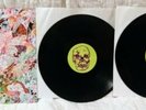 Earthly Delights by Lightning Bolt * 2-LP * Etched Disc # LOAD126