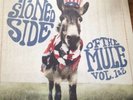 Stoned Side of the Mule, Vols. 1-2 by Gov't Mule (180g Vinyl 2LP) Limited
