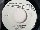 SOUL - MARY MUNDY 45 INSURANCE CITY RECORDS 204 OPEN UP YOUR HEART VG++