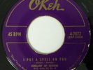 SCREAMIN' JAY HAWKINS 45 I Put a Spell.../Little Demon OKEH r&b VG+ jf403