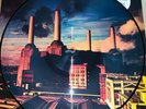 PINK FLOYD, ANIMALS, PICTURE DISC VINYL LP, 2018 EU IMPORT