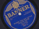Campus Boys, Majestic Dance Or – 78 rpm Banner 6237: Where the Shy Violets Grow