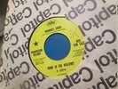 WIND IN THE WILLOWS 45 Moments Spent PROMO Folk PSYCH Debbie Harry BLONDIE EXC