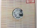 Blondie Rapture CHS-25-PDJ + 3-page note and lyrics from Chrysalis