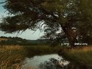 S. Carey - Hundred Acres [Very limited Blue Haze Color Vinyl Record]