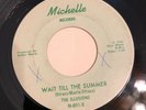 THE ILLUSIONS   WAIT TILL THE SUMMER   MICHELLE    Orig. ‘66 Garage 45