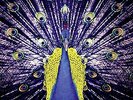 BLOND:ISH-WELCOME TO THE PRESENT VINYL LP NEU