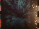 Hum Downward is Heavenward vinyl lp record