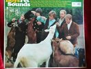 Pet Sounds The Beach Boys vinyl LP stereo Good condition original UK. 1966
