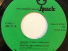 Moses Dillard Martha Starr Cheating Teasing Misleading Northern Soul 45 Listen
