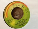 Northern Soul Don Gardener My Baby Likes To Boogaloo