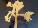 U2 - The Joshua Tree - 7LP Super Deluxe Vinyl Edition, NEU&OVP