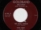 Rockabilly 45 - Gene Terry & the Down Beats - No Mail Today - Goldband - VG+ mp3