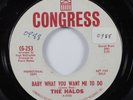 Garage Girl Group 45 HALOS Baby What You Want Me To Do CONGRESS VG+ wlp HEAR