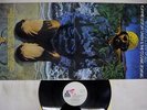 LONNIE LISTON SMITH VISIONS OF A NEW WORLD FLYING DUTCHMAN BDL1 1196 VINYL LP