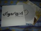 Sugarland - The Incredible Machine - RARE Original Vinyl LP album 2010