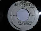 The Willows - Send another moses  7