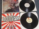 2 x LOUDNESS* Vinyl/LP* Erstpressung 1984/1985 * Disillusion*Thunder in the East
