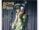 David Bowie At The Beeb Best Of The BBC Sessions 68-72 4LP Vinyl Box Set