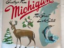 Sufjan Stevens 'Greetings From Michigan The Great Lake State' 2LP VINYL 2004 EX