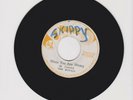 WAMBESI/ WHEN YOU ARE WRONG - ROYALS (75 REGGAE ROOTS 7
