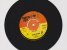 BIGSHOT/ WATERLOO ROCK  -  DON RECO (RICO RODRIGUES)   (71 SKINHEAD INSTR. 7