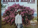 Ayalew Mesfin ?– Hasabe - My Worries *VINYL* vmp vinyl me please