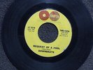 northern soul DOWNBEATS Request Of a Fool TAMLA 54056