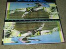 Widespread Panic Space Wrangler LP 1988 Landslide Records Used with shrink wrap