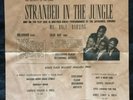 Jayhawks, Flash 109, Stranded In The Jungle & My Only Darling, HAS PROMO INSERT