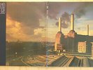 PINK FLOYD LP: ANIMALS (D; LIM.EDT. PINK VINYL;EMI Electrola ?1C 064-98 434)