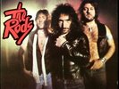 THE RODS 'Rock Hard' Rare Near Mint Never played Private  press 1980 Metal LP